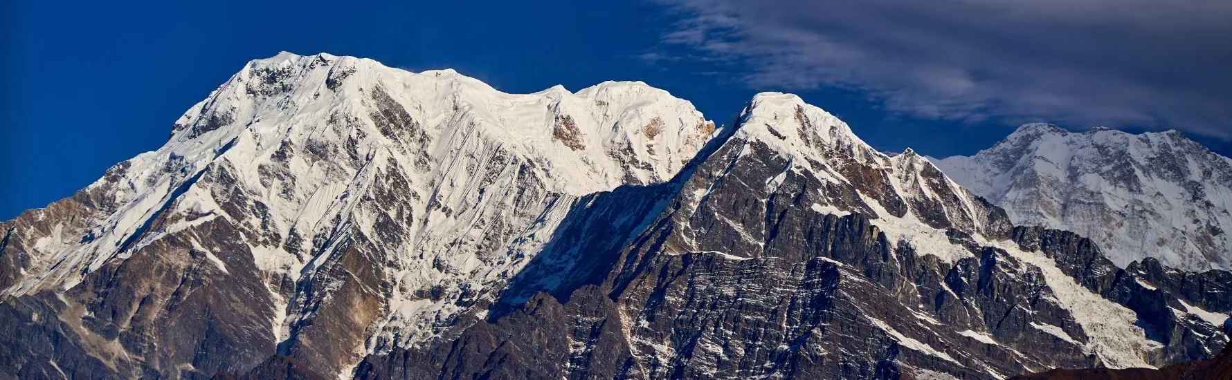 Travel support team helping a traveler